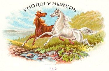 Thoroughbreds- cigar box label
