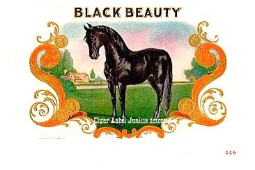 Black Beauty- cigar box label