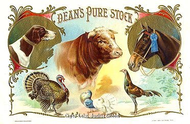 animal theme cigar box label