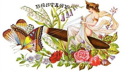 Ecstacy cigar box label