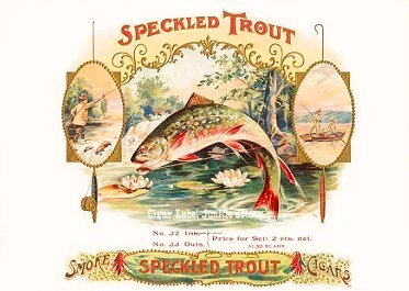 Speckled Trout- cigar box label