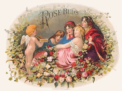 Rose Buds- cigar box label