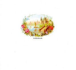 example of a large white border and small image