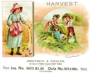 Harvest cigar box label