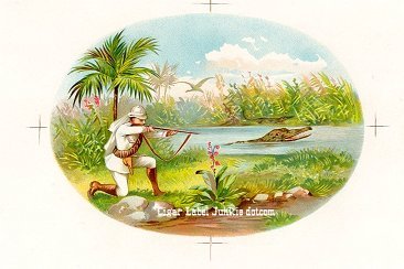 Gator Hunter- cigar box label