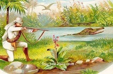 Gator Hunter- cigar box label