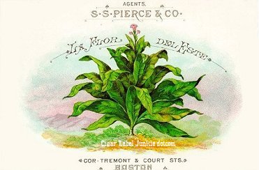 LFD Este cigar box label