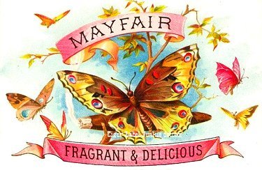 Mayfair- cigar box label