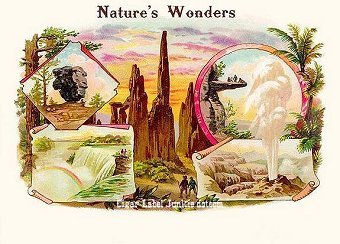 Natures Wonders cigar box label