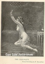 Odalisque print