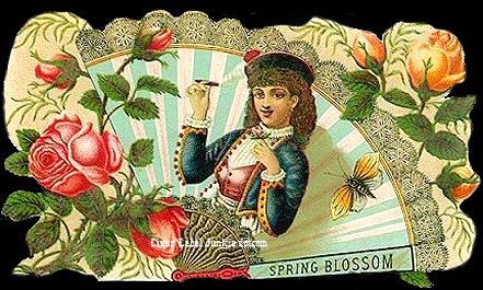 Spring Blossom- cigar box label