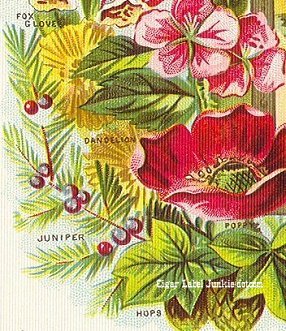 Our Specialty- cigar box label