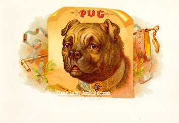 Pug- cigar box label