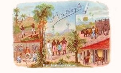 Punch- cigar box label