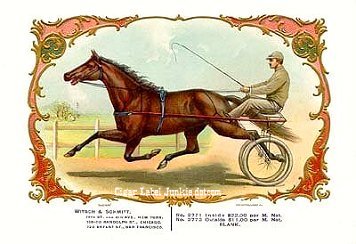 UT Trotter- cigar box label
