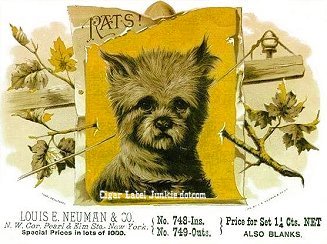 Rats- cigar box label