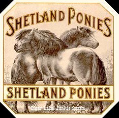 Shetland- cigar box label