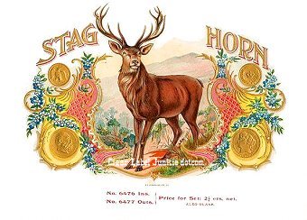 Stag Horn- cigar box label
