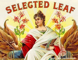 Selected Leaf- cigar box label