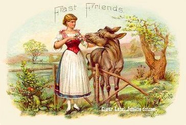 Fast Friends- cigar box label