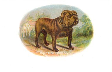 UT Bull Dog- cigar box label