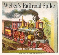 Web Rail Spike