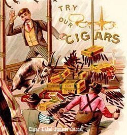Young Am crop- cigar box label