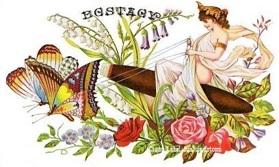 Flitter- cigar box label