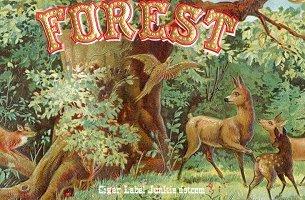 Forest cigar box label