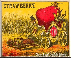 Strawberry outer cigar box label